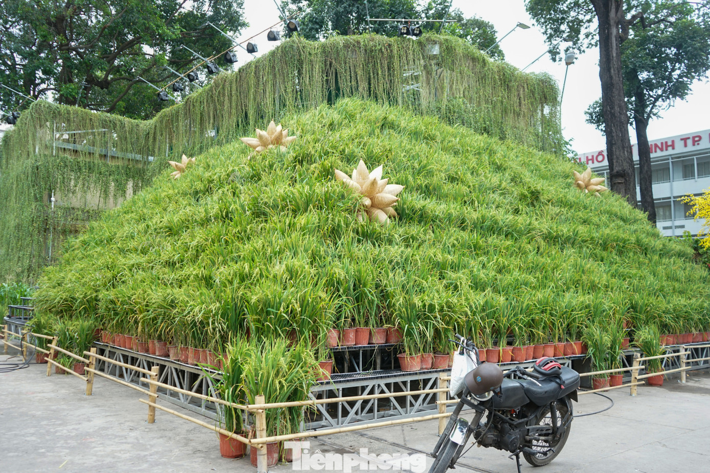 Ngoài các quầy hàng thư pháp, Ban tổ chức năm nay đã thiết kế xây dựng nhiều tiểu cảnh đặc sắc như tái hiện ruộng bậc thang, tái hiện khu làng nghề đan tre nứa truyền thống.