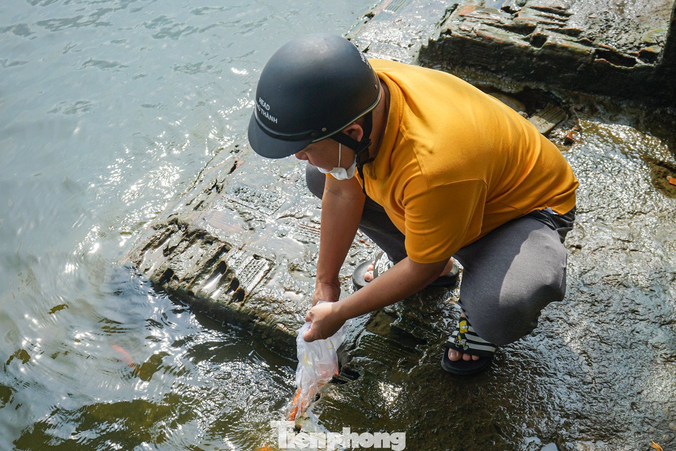 Trên bờ nhiều người cũng đã ý thức giữ vệ sinh môi trường, không có tình trạng thả cá, thả luôn túi nilon xuống sông.