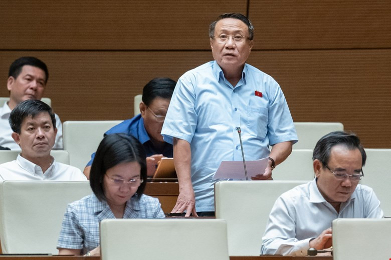 Đại biểu Hà Sỹ Đồng (đoàn Quảng Trị).