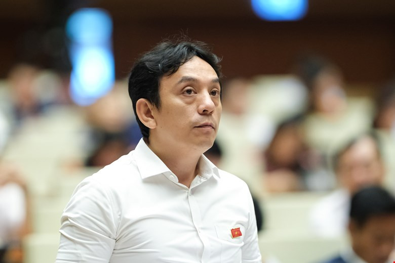 Đại biểu Quốc hội chuyên trách Trần Việt Anh Đại biểu Quốc hội chuyên trách Trần Việt Anh