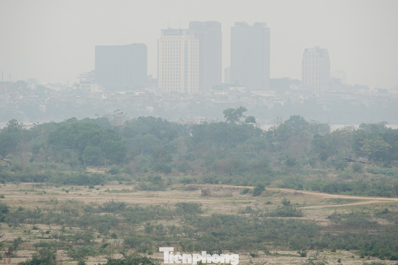 Những toà nhà cao chọc trời ẩn hiện trong màn sương.