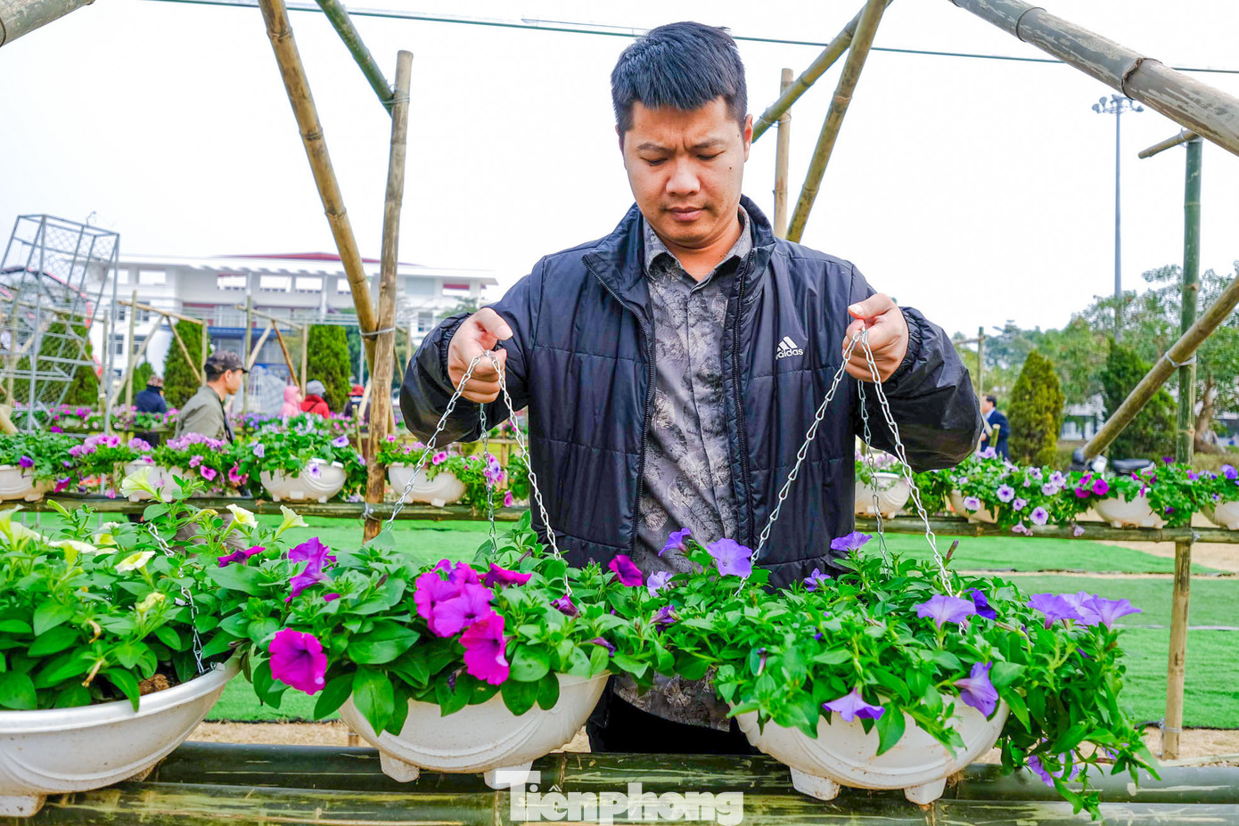 Những giỏ hoa đầy sắc màu được mang đến khu vực trưng bày. Những giỏ hoa đầy sắc màu được mang đến khu vực trưng bày.