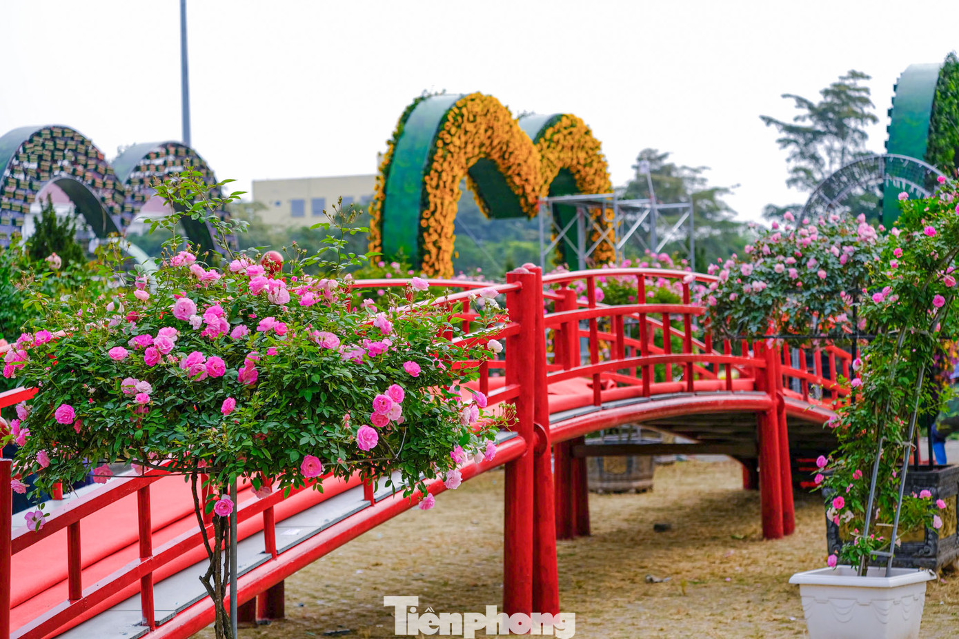 Các tiểu cảnh, mô hình được trang trí kết hợp với hoa tạo nên khung cảnh đẹp mắt, ấn tượng. Các tiểu cảnh, mô hình được trang trí kết hợp với hoa tạo nên khung cảnh đẹp mắt, ấn tượng.