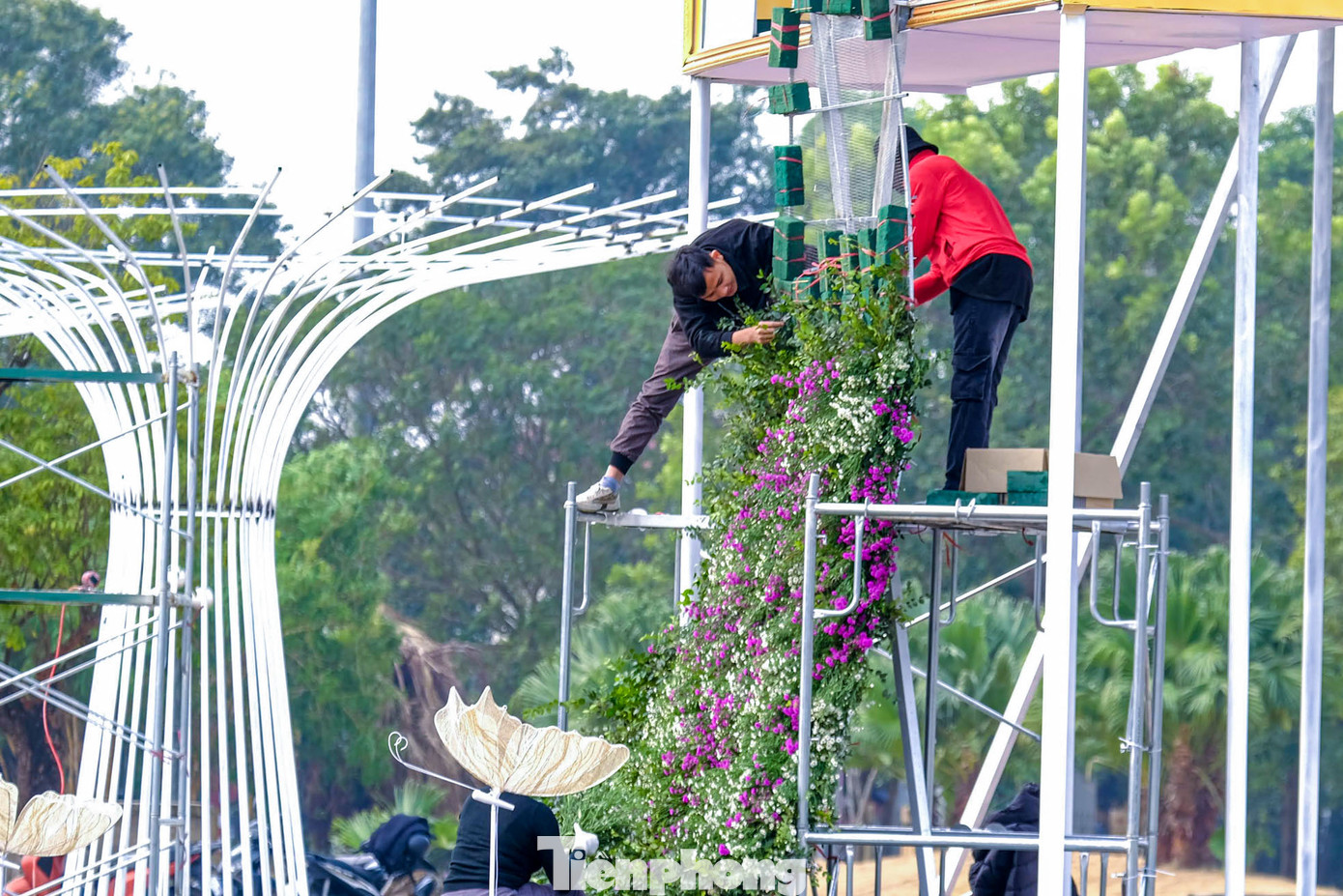 "Festival hoa Mê Linh là dịp để quảng bá, xây dựng thương hiệu, thúc đẩy nhãn hiệu và cũng là để xúc tiến thương mại tiêu thụ đối với hoa ở Mê Linh", ông Nguyễn Tiến Hùng, Phó Trưởng phòng Kinh tế huyện Mê Linh (Hà Nội) cho biết. "Festival hoa Mê Linh là dịp để quảng bá, xây dựng thương hiệu, thúc đẩy nhãn hiệu và cũng là để xúc tiến thương mại tiêu thụ đối với hoa ở Mê Linh", ông Nguyễn Tiến Hùng, Phó Trưởng phòng Kinh tế huyện Mê Linh (Hà Nội) cho biết.