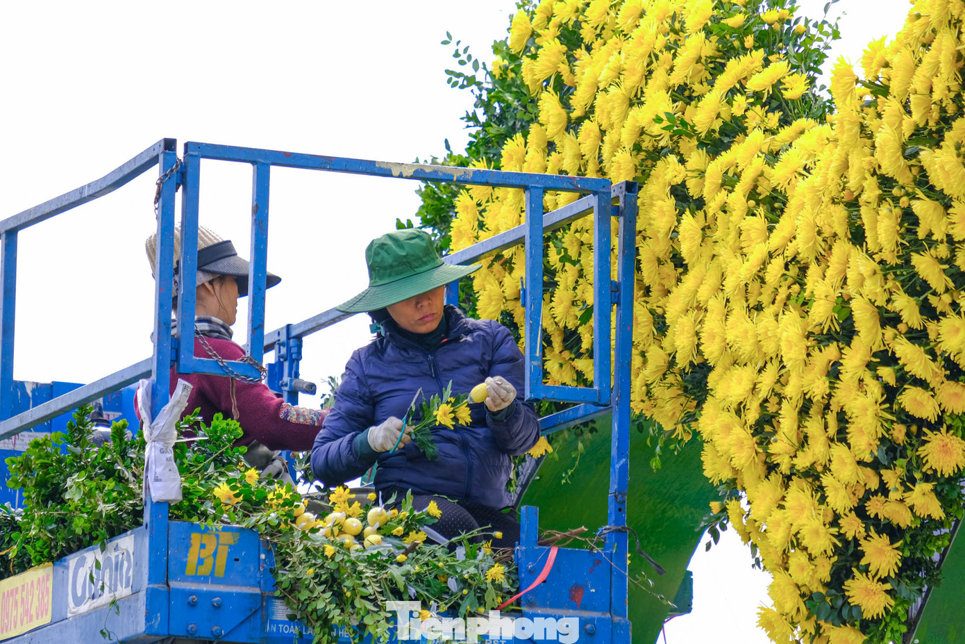 Cổng chào được trang trí bằng hàng trăm bông hoa tươi. Cổng chào được trang trí bằng hàng trăm bông hoa tươi.