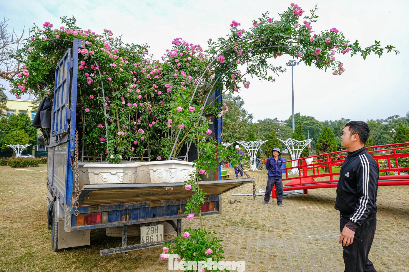 Trong 4 ngày diễn ra Festival Hoa Mê Linh lần thứ 2 sẽ có nhiều hoạt động sôi nổi, ý nghĩa như: Hội thi trang trí "xe đạp hoa từ vật liệu tái chế"; thi vẽ tranh; dán, ghép bức tranh “khổng lồ” từ hoa; các hoạt động festival Tiếng Anh cho học sinh; trình diễn áo dài chủ đề “Mê Linh rực rỡ sắc hoa”; chương trình văn nghệ đặc sắc của các ngành, đoàn thể và phần trình diễn sôi động của các ban nhạc, nghệ sĩ xiếc đường phố;… Trong 4 ngày diễn ra Festival Hoa Mê Linh lần thứ 2 sẽ có nhiều hoạt động sôi nổi, ý nghĩa như: Hội thi trang trí "xe đạp hoa từ vật liệu tái chế"; thi vẽ tranh; dán, ghép bức tranh “khổng lồ” từ hoa; các hoạt động festival Tiếng Anh cho học sinh; trình diễn áo dài chủ đề “Mê Linh rực rỡ sắc hoa”; chương trình văn nghệ đặc sắc của các ngành, đoàn thể và phần trình diễn sôi động của các ban nhạc, nghệ sĩ xiếc đường phố;…