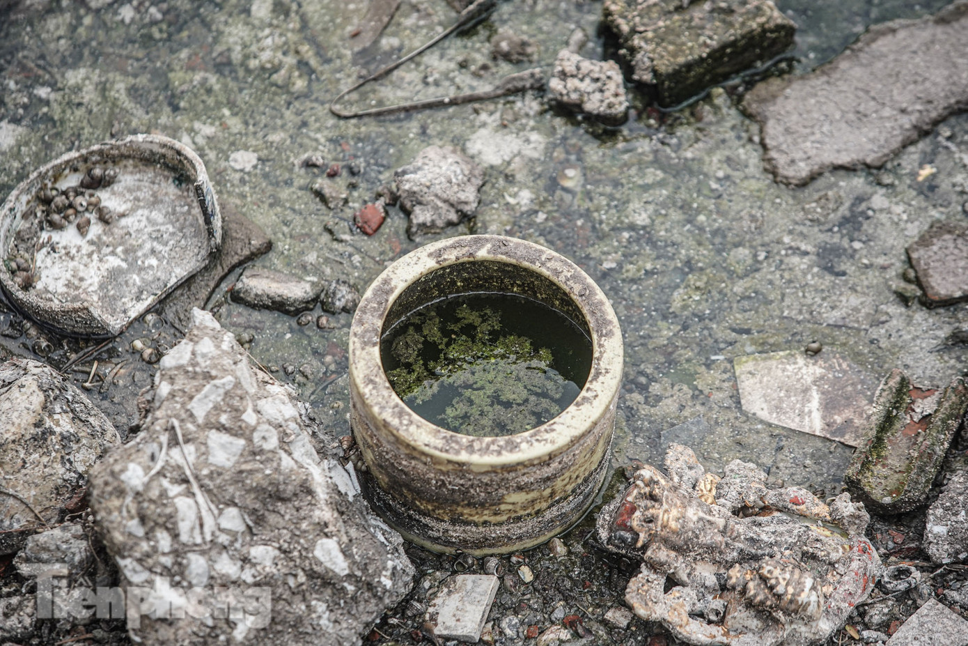 Mực nước cạn lộ ra rất nhiều loại đồ thờ cúng, chiếm phần lớn là bát hương bằng sứ.