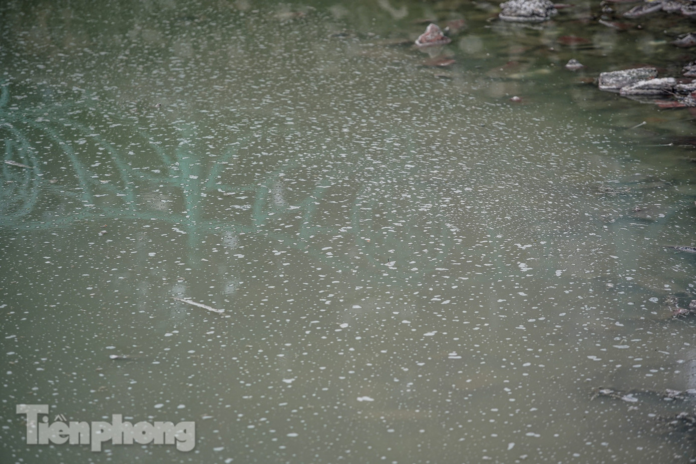 Mặt nước hồ Tây nổi bọt trắng.