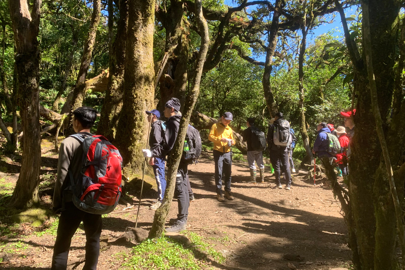 Vào dịp cuối tuần có khá đông du khách đến với "cây thần kỳ" để check-in.