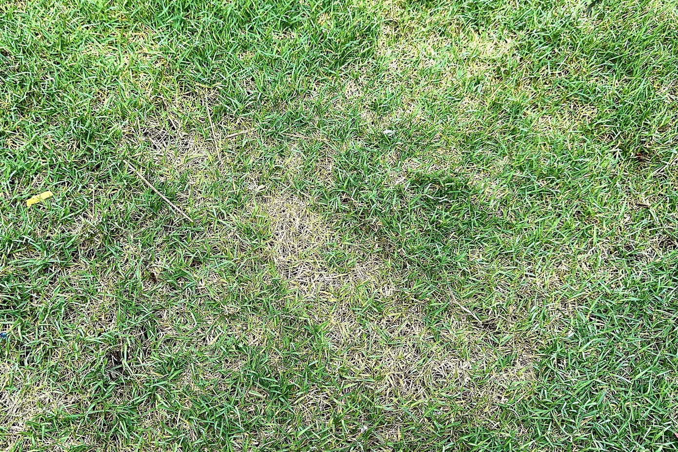 Mặt sân chịu tổn hại nghiêm trọng sau đêm nhạc.