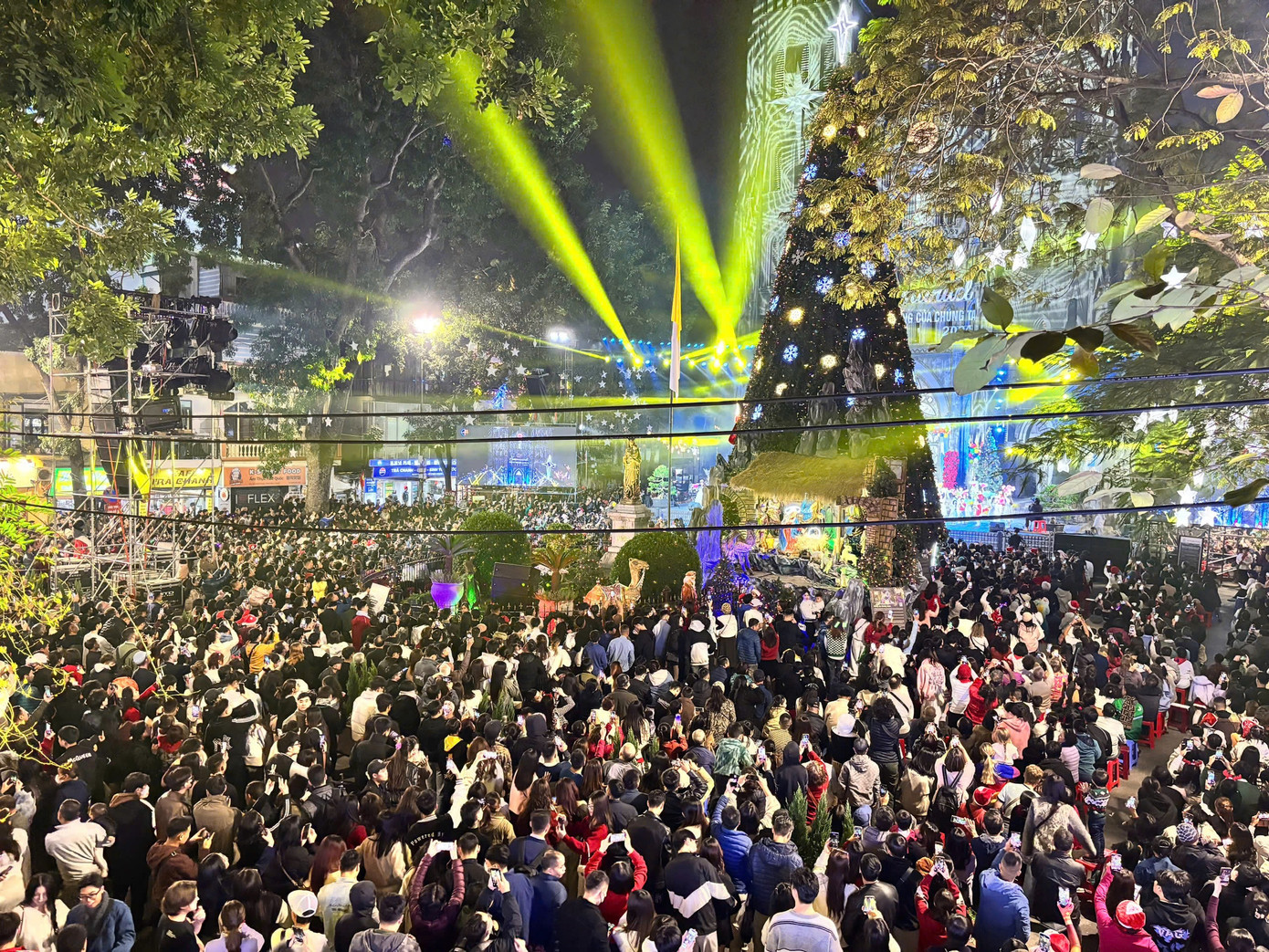 Cây thông noel được dựng ngay trước cửa Nhà thờ Lớn Hà Nội. Chiều cao của cây thông là 16 m, được trang trí bằng các vật phẩm quen thuộc như quả cầu, đèn điện, dây kim tuyến....