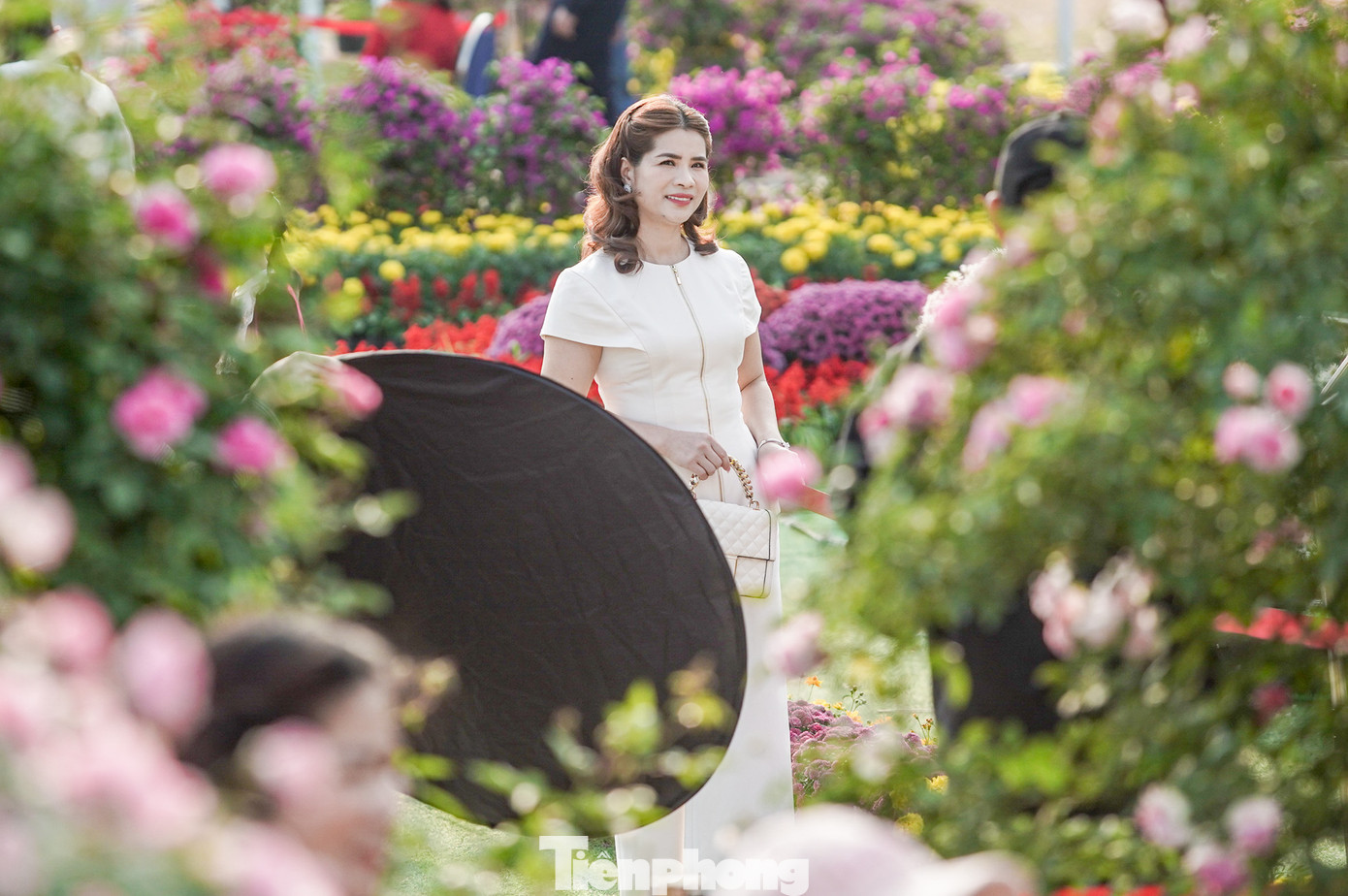 Bên cạnh hoa hồng, nhiều loài hoa được nhà vườn sử dụng để trang trí như cúc, phong lữ thảo, dạ yến thảo, lan hồ điệp, đồng tiền, trạng nguyên, hoa giấy…