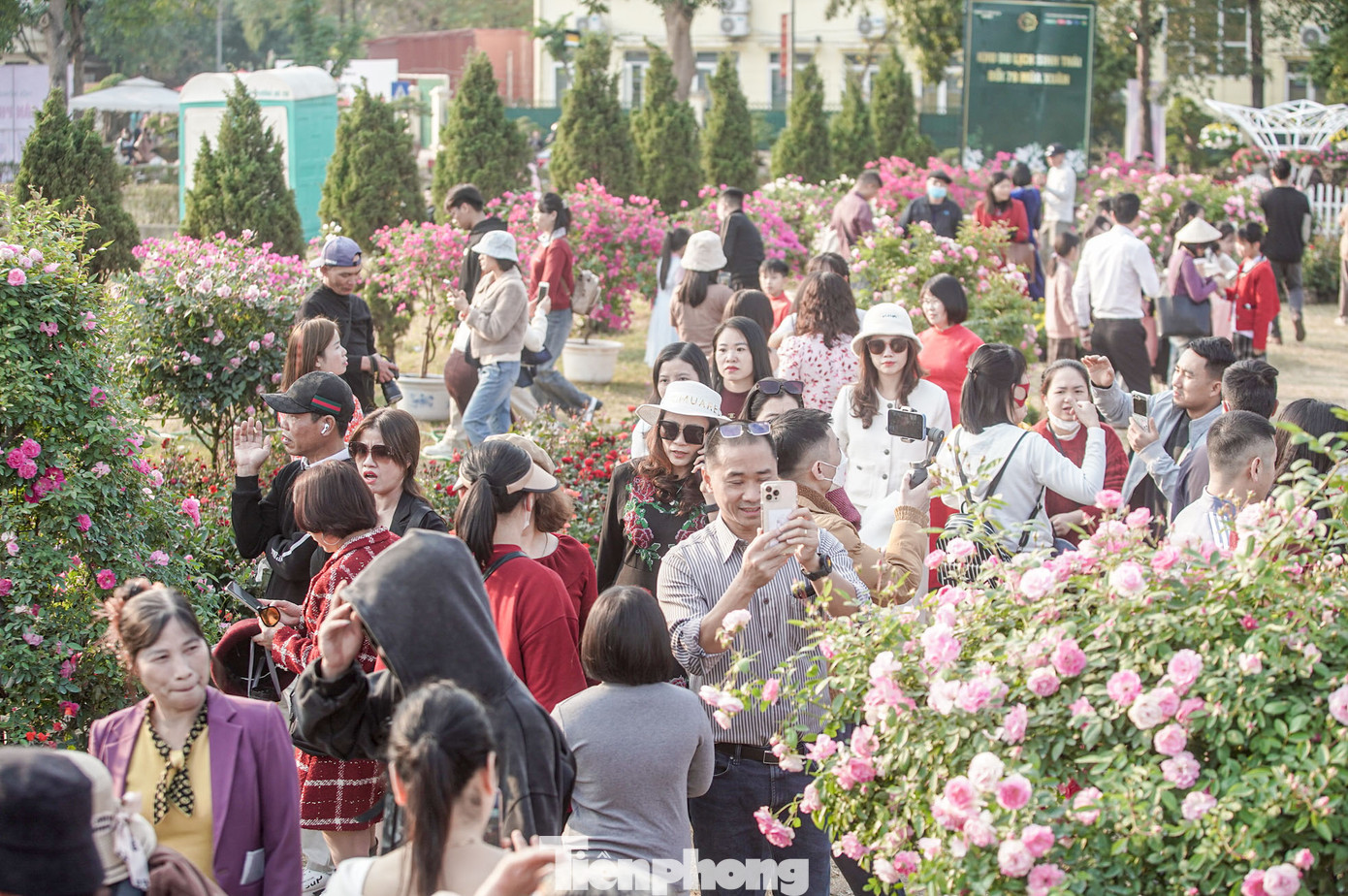 Các lối đi đều chật kín du khách đứng lại chụp ảnh.