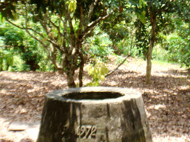 Giếng nước nơi ác nhân Huỳnh Mến đẩy cháu T xuống hòng phi tang