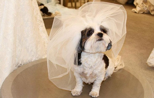 Baby Hope với chiếc rúp trên đầu rất 