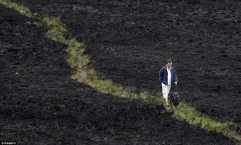 Một người dân đi dạo qua khu vực bị cháy cùng với con chó của mình trên con đường mòn - dải phân cách còn sót lại sau vụ cháy