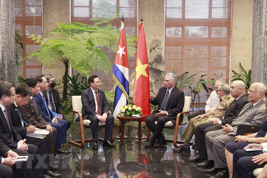 Quang cảnh buổi hội kiến. (Ảnh: Doãn Tấn/TTXVN)