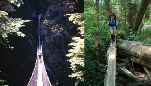 Những con đường mòn nguy hiểm nhất trên thế giới ảnh 4