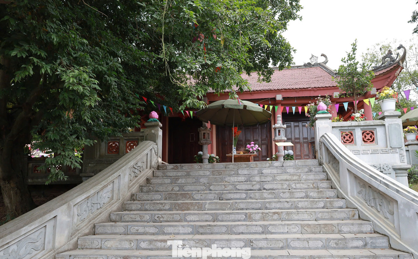 Theo ông Nguyễn Thiện Ninh (88 tuổi) thủ từ đền Thiên Cổ, hai bên cổng đền Thiên Cổ vốn có 2 cây táu có niên đại giống nhau. Nhưng cách đây 500 năm, sau trận cuồng phong một cây táu đã bị gãy, đổ.