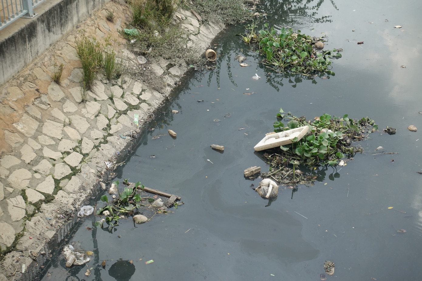 Ô nhiễm tái xuất trên những con kênh vừa được cải tạo nghìn tỷ ở TPHCM ảnh 4 Ô nhiễm tái xuất trên những con kênh vừa được cải tạo nghìn tỷ ở TPHCM ảnh 4