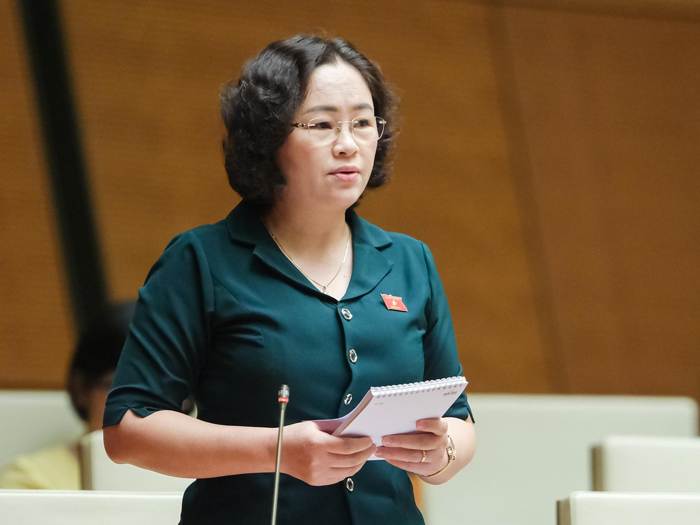 ĐBQH Lò Thị Luyến (đoàn Điện Biên) ĐBQH Lò Thị Luyến (đoàn Điện Biên)