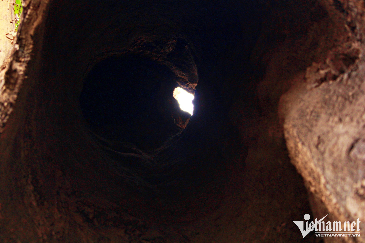 Bọng cây tương truyền xưa kia là nơi trú ngụ của cặp rắn cũng bị cháy thành than. Bọng cây tương truyền xưa kia là nơi trú ngụ của cặp rắn cũng bị cháy thành than.