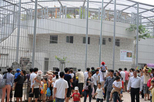 Ngắm các con thú dữ tợn