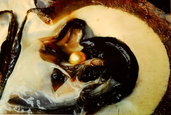 Và đây là viện ngọc óng ánh nằm trong miệng của con trai