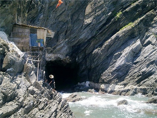 Hòn Nồm có sự hiện diện của đàn chim Yến đông đúc cư ngụ và làm tổ. Vì thế, đảo có tên là đảo Yến 