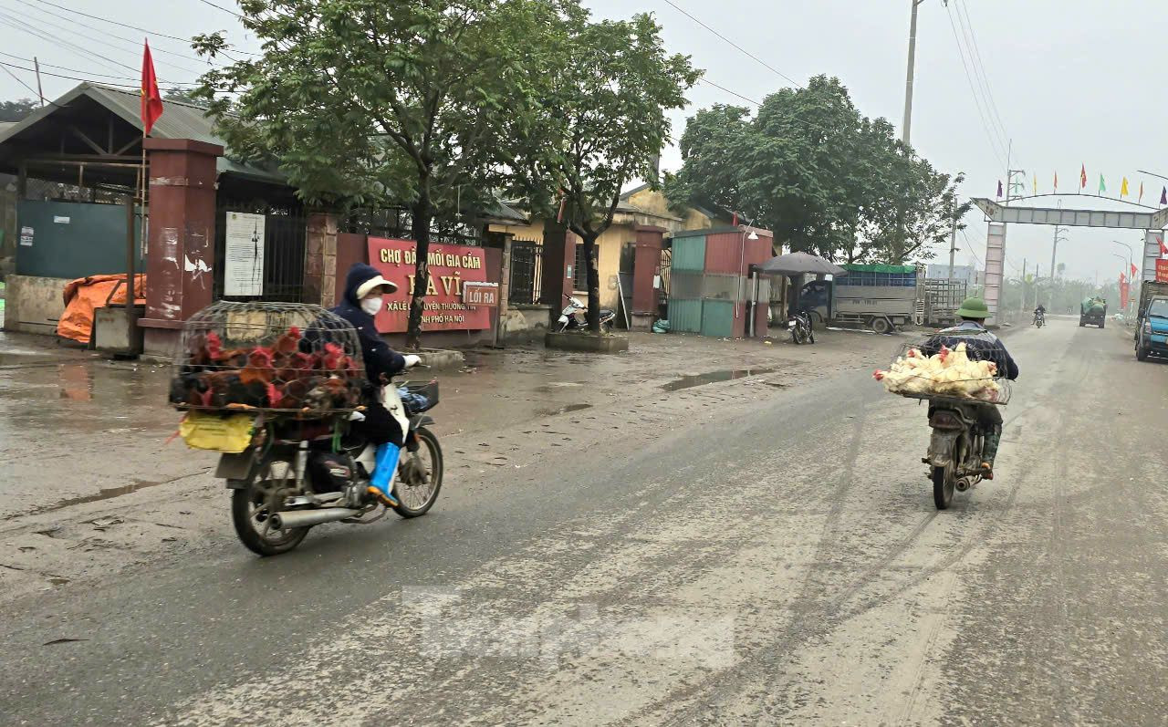 Để phòng chống dịch cúm A/H5N1, người dân không ăn gia cầm ốm, chết và không rõ nguồn gốc; không giết mổ, vận chuyển, mua bán gia cầm không rõ nguồn gốc. Nếu có biểu hiện cúm như sốt, ho, đau ngực, khó thở phải đến ngay cơ sở y tế để được tư vấn, khám và điều trị kịp thời.