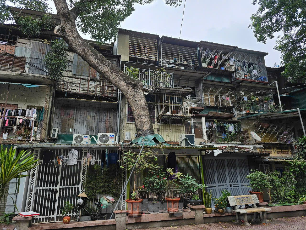 Nhiều nhà chung cư thuộc Khu tập thể Kim Liên đã nhếch nhác, hàng trăm “chuồng cọp” chen chúc bám trên các bức tường đã bong tróc của công trình (ghi nhận ngày 24/2). Nhiều nhà chung cư thuộc Khu tập thể Kim Liên đã nhếch nhác, hàng trăm “chuồng cọp” chen chúc bám trên các bức tường đã bong tróc của công trình (ghi nhận ngày 24/2).