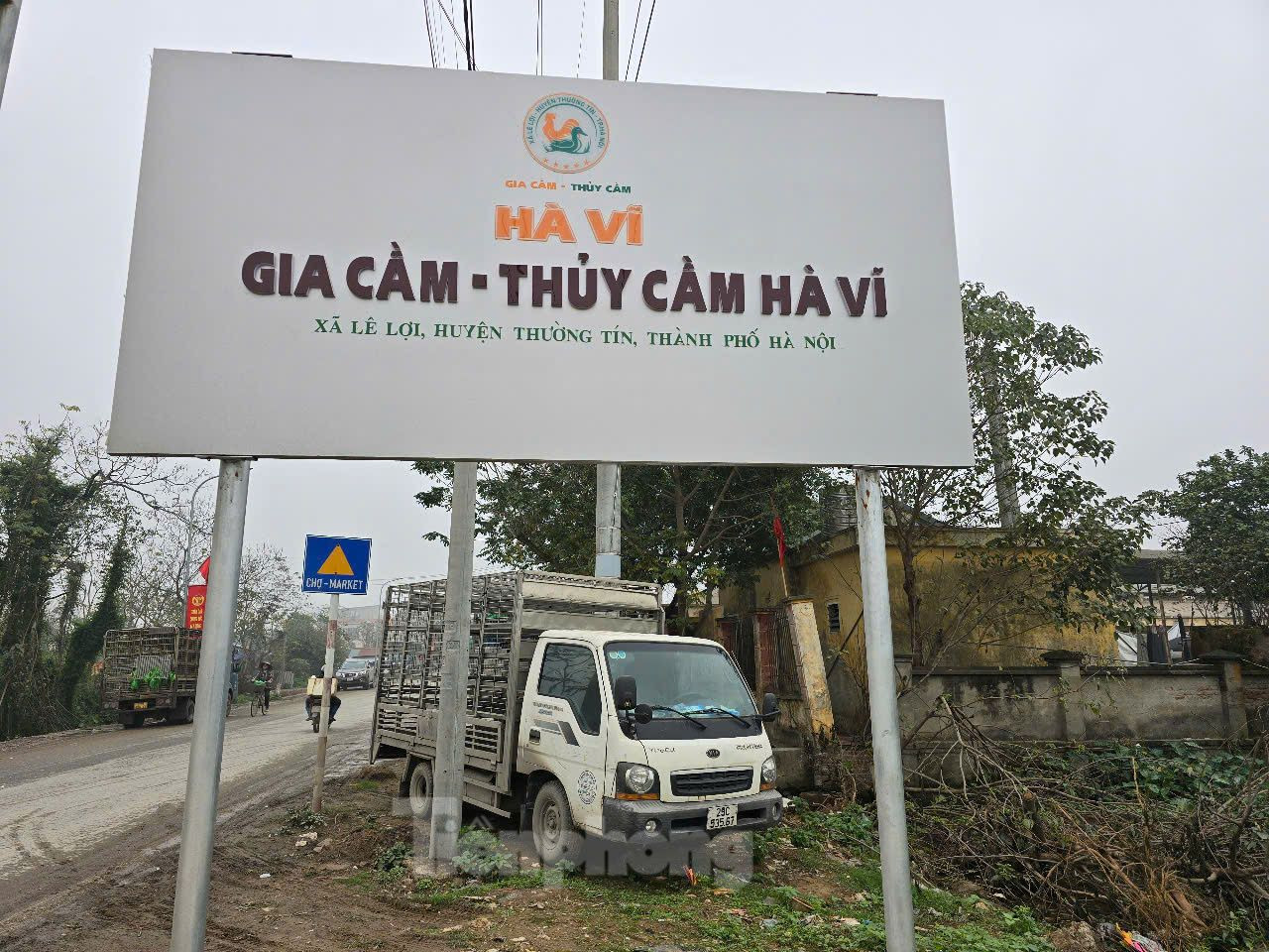 Trước nguy cơ cúm gia cầm H5N1 lây lan, UBND TP. Hà Nội đã yêu cầu các quận, huyện tăng cường giám sát dịch bệnh, phát hiện và xử lý kịp thời các ổ dịch; xử lý nghiêm các trường hợp không khai báo, giấu dịch, vận chuyển, tiêu thụ gia cầm bệnh.