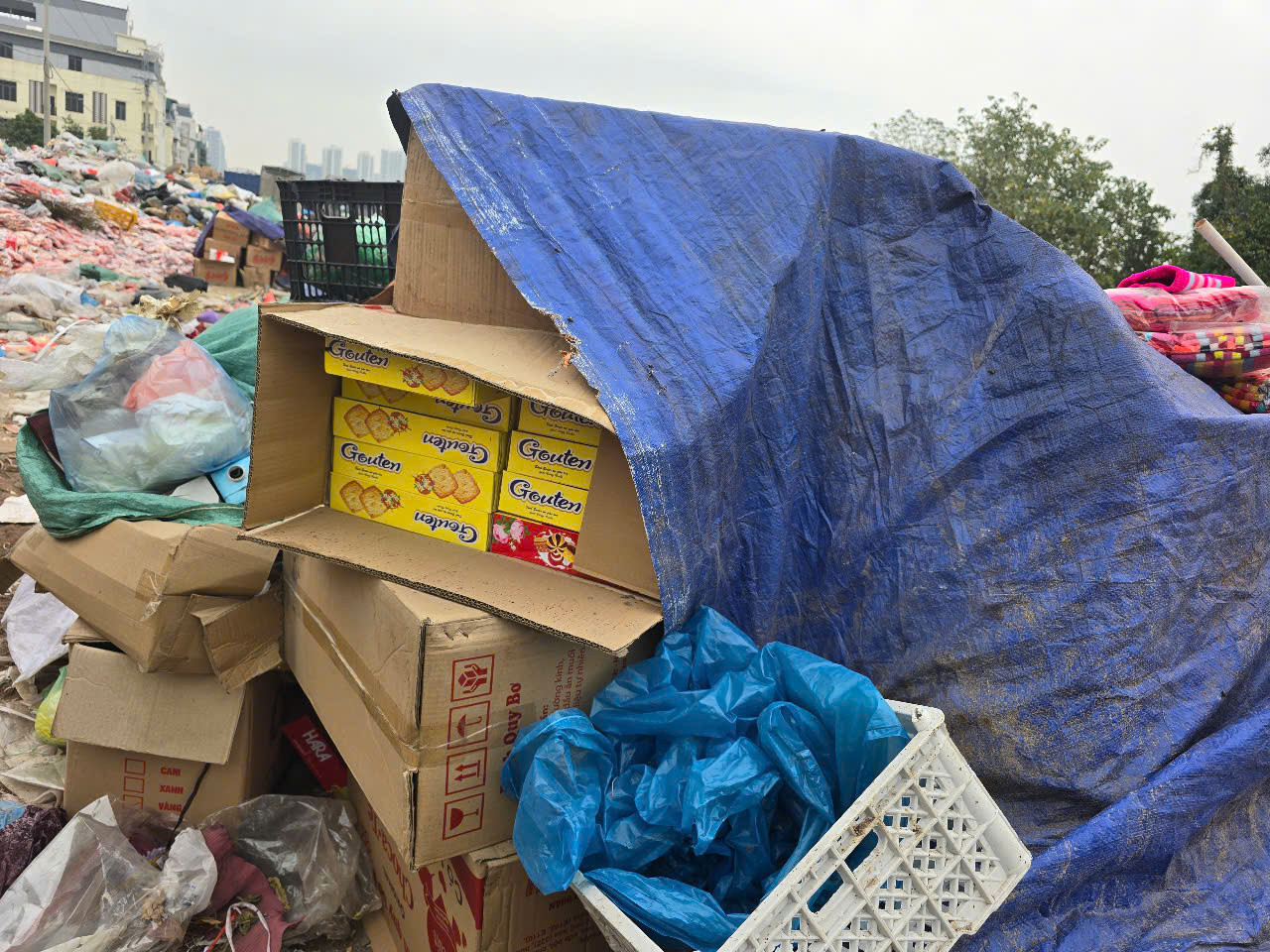 Bánh quy còn nguyên trong hộp được vứt bỏ tại bãi rác.