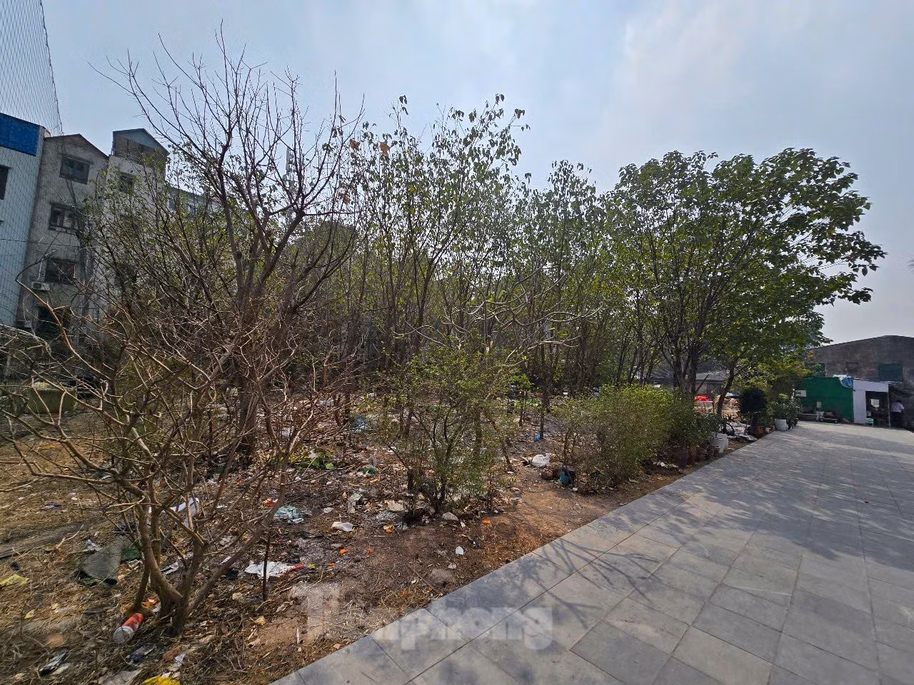 Thực hiện Kết luận của Thanh tra Chính phủ, UBND TP Hà Nội đã thu hồi và giao diện tích đất trên cho Trung tâm phát triển quỹ đất Hà Nội quản lý, đề xuất phương án khai thác theo quy định (ảnh: Một phần khu đất bị thu hồi đang để hoang). Thực hiện Kết luận của Thanh tra Chính phủ, UBND TP Hà Nội đã thu hồi và giao diện tích đất trên cho Trung tâm phát triển quỹ đất Hà Nội quản lý, đề xuất phương án khai thác theo quy định (ảnh: Một phần khu đất bị thu hồi đang để hoang).