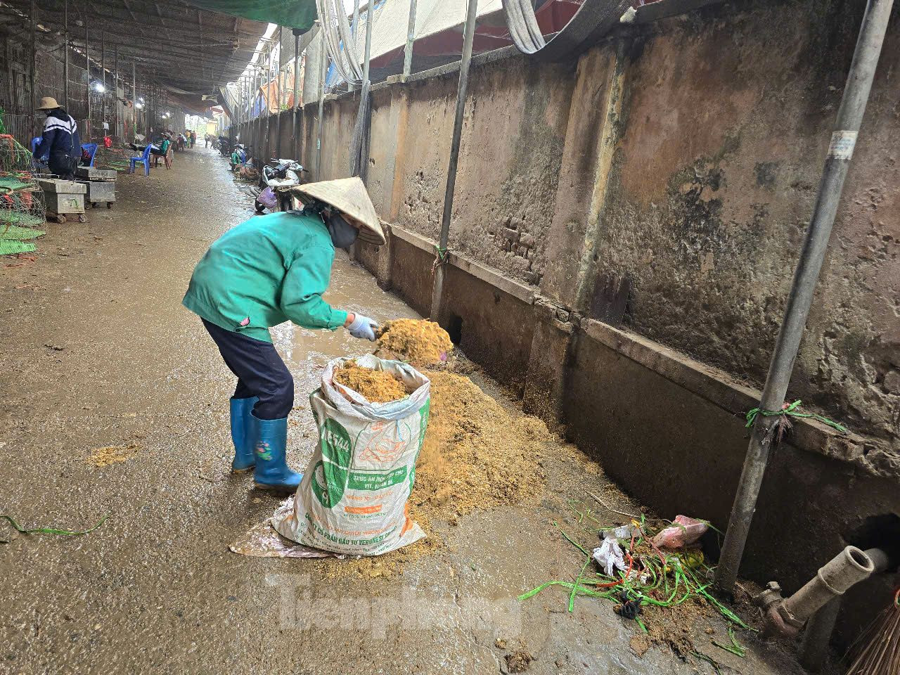 Được biết, cúm gia cầm là một bệnh nhiễm virus H5N1 type A. Bệnh thường lây lan từ gia cầm sang gia cầm, nhưng một vài trường hợp có thể truyền nhiễm cho con người và động vật khác (ảnh: Nhân viên dọn vệ sinh tại chợ Hà Vĩ).