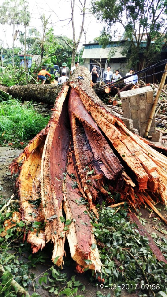 Những thiệt hại do lốc xoáy, mưa đá tàn phá ở Thanh Hóa ảnh 1