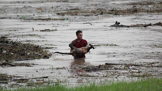 Lúc nguy cấp mới biết lòng chủ tốt
