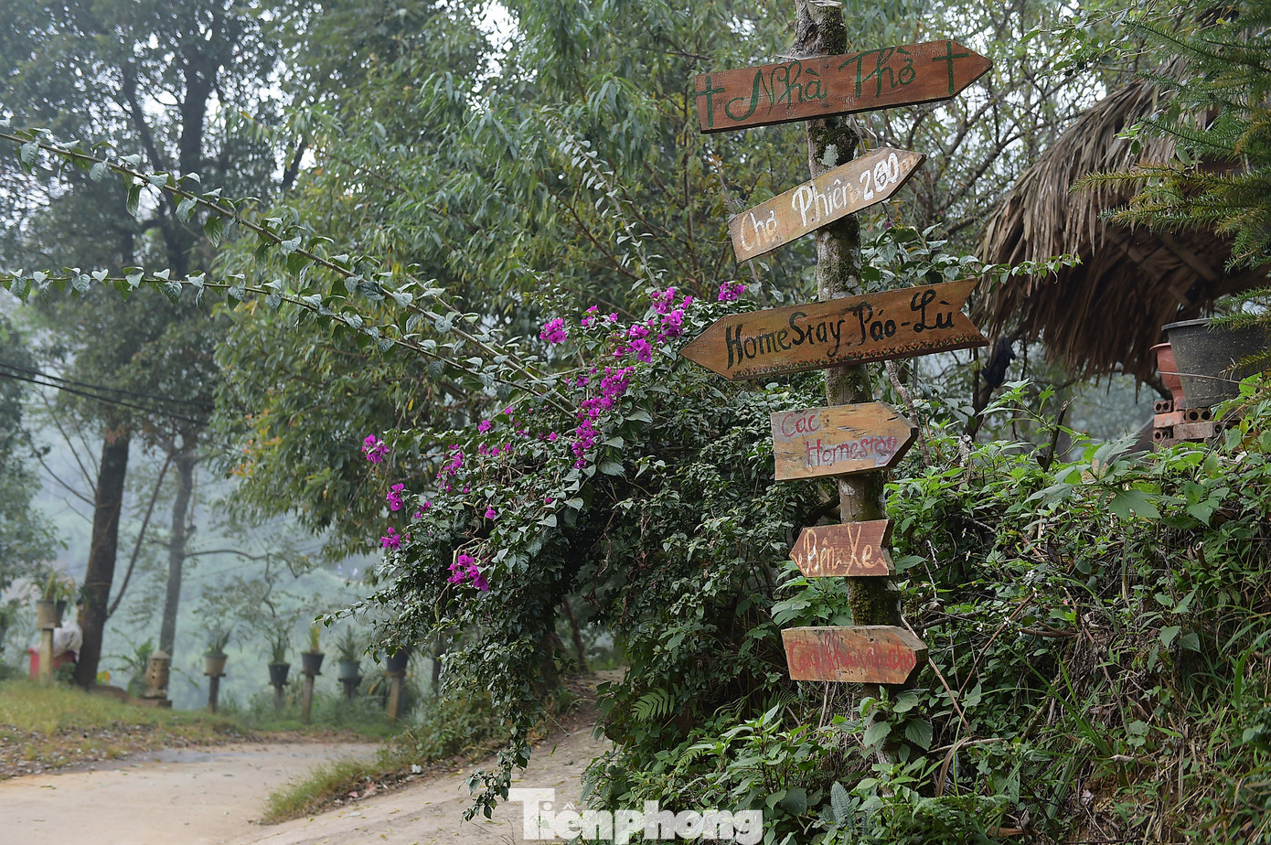 Bản Sin Suối Hồ ngày càng khang trang, phát triển. Ảnh: Xuân Tùng