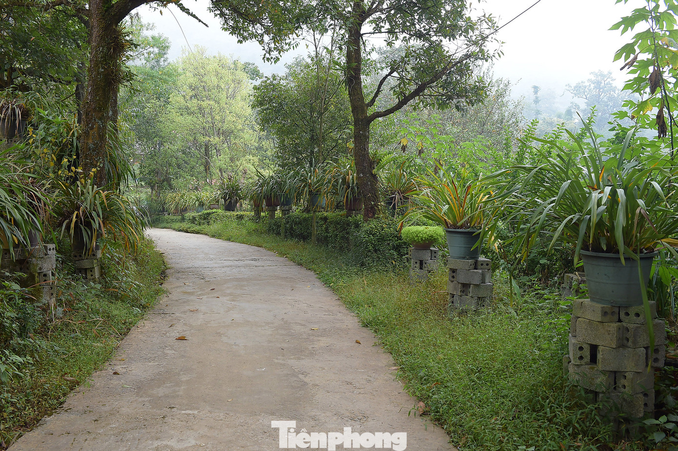 Bản Sin Suối Hồ ngày càng khang trang, phát triển. Ảnh: Xuân Tùng