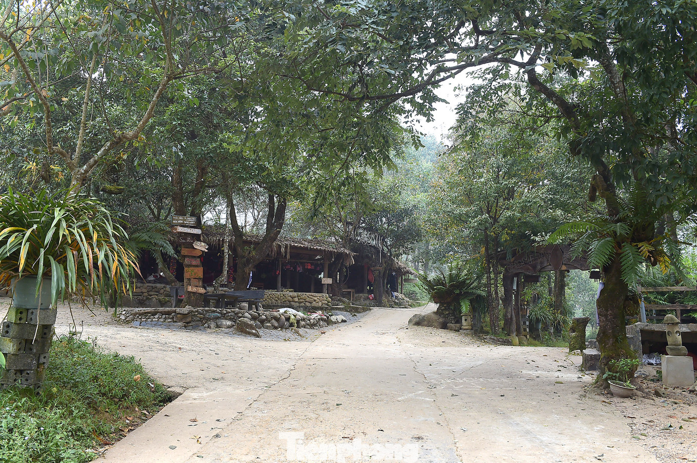 Chị Ly, anh Xà giới thiệu khu chợ đặc biệt ở Sin Suối Hồ. Ảnh: Xuân Tùng