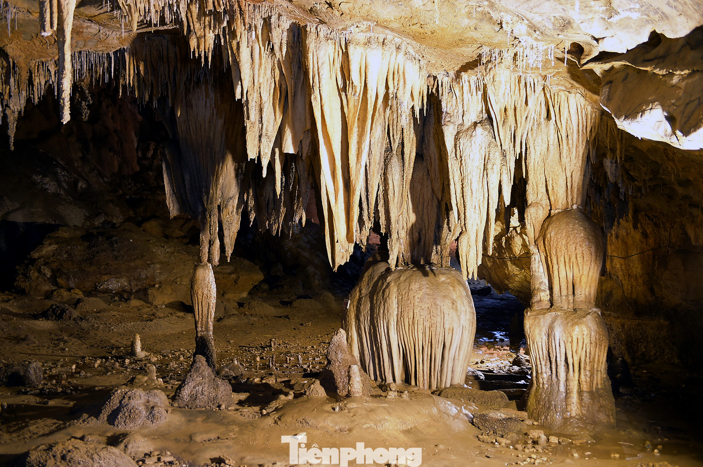 Thế giới thạch nhũ trong động Thiên Đường. Ảnh: Xuân Tùng