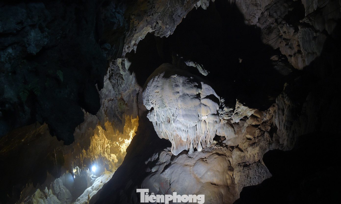 Thế giới thạch nhũ trong động Thiên Đường. Ảnh: Xuân Tùng