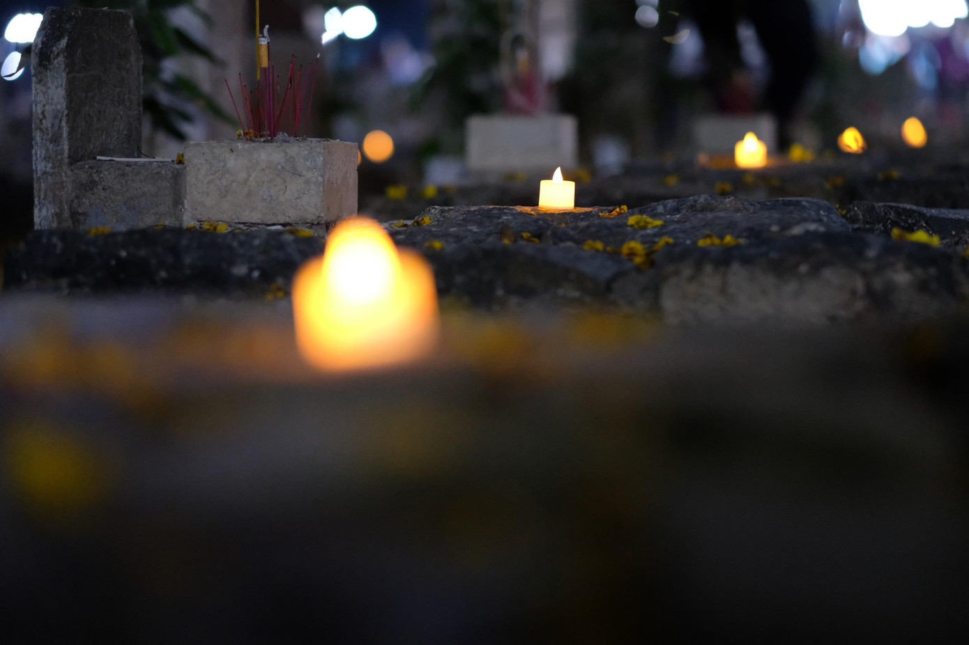 Trong 113 năm tồn tại của nhà tù Côn Đảo (1862-1975), mệnh danh là “địa ngục trần gian”, tay sai của thực dân, đế quốc đã giam cầm hàng chục ngàn tù nhân. Trong số đó đã có hơn 20.000 người đã chết vì bị tra tấn với phương thức tàn bạo.