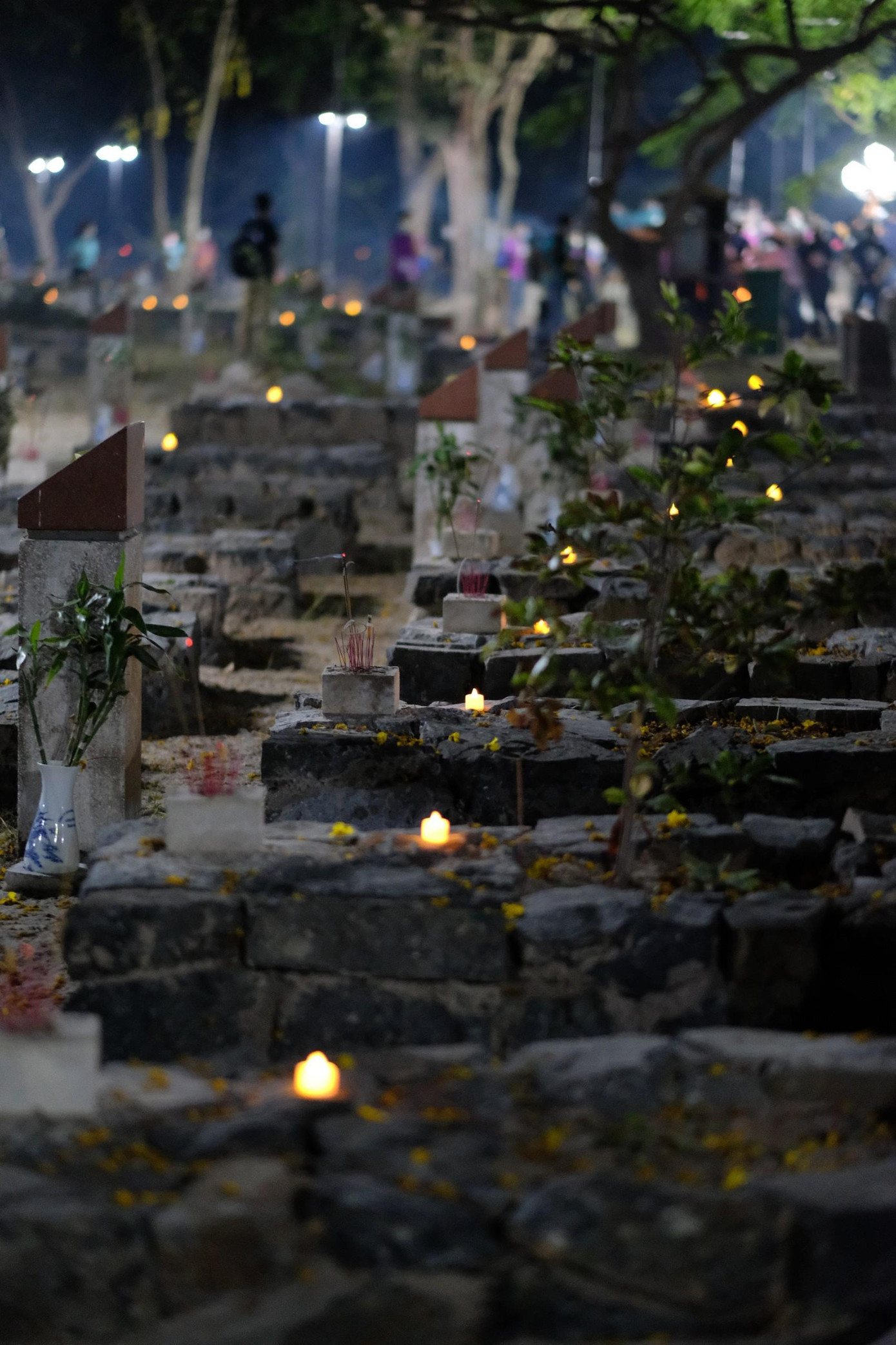 Trong số 1.913 ngôi mộ trong các ngôi mộ nghĩa trang chỉ 793 có tên địa chỉ cụ thể, số còn lại là những ngôi mộ vô danh.