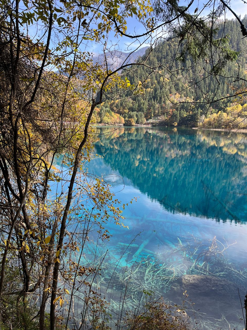 Khung cảnh đẹp hiền hòa tạo nên sức hút khó cưỡng của Cửu Trại Câu.