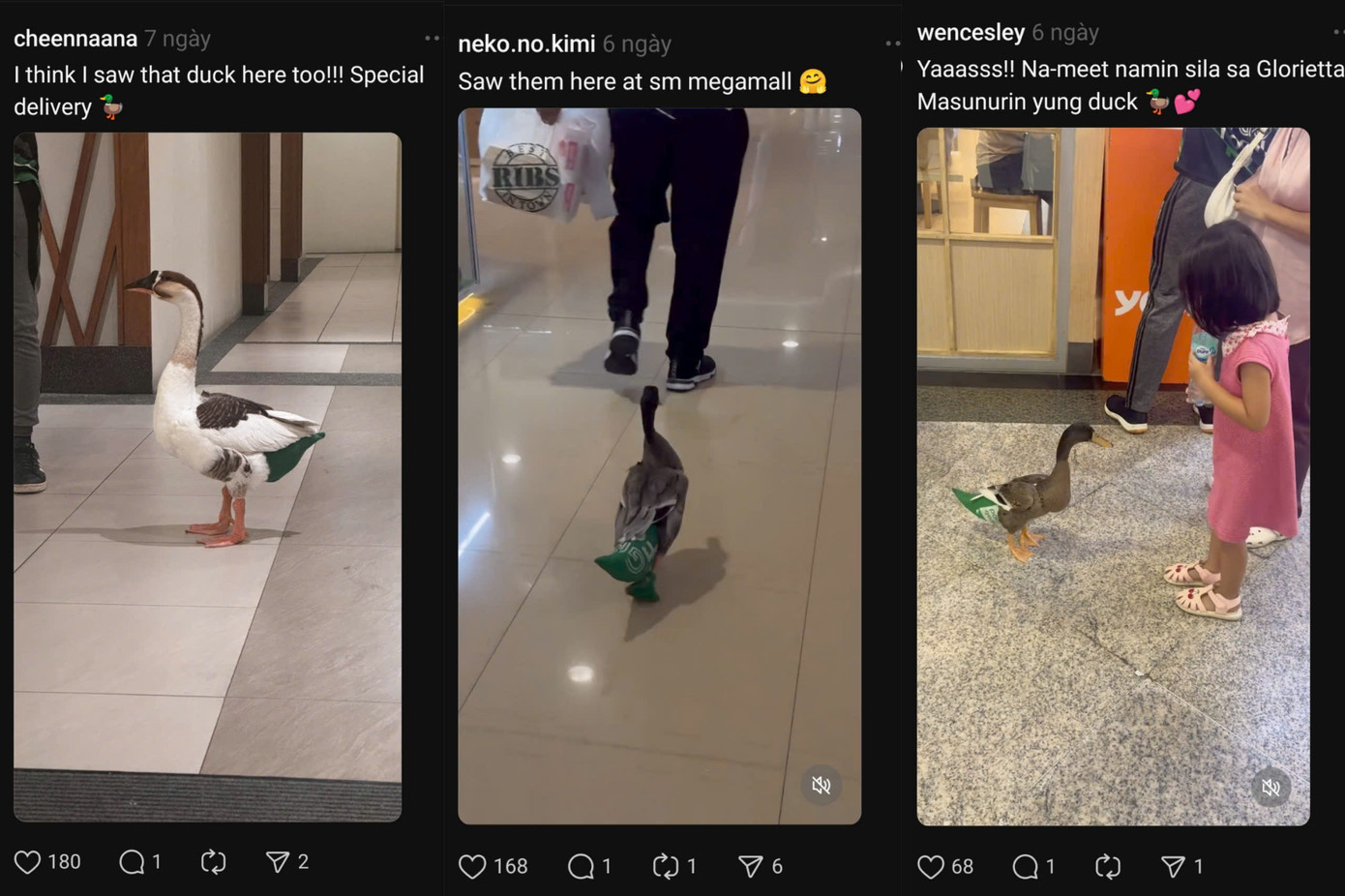 Cư dân mạng cũng thích thú khi bắt gặp "idol" ngoài đời. Ảnh chụp màn hình Cư dân mạng cũng thích thú khi bắt gặp "idol" ngoài đời. Ảnh chụp màn hình