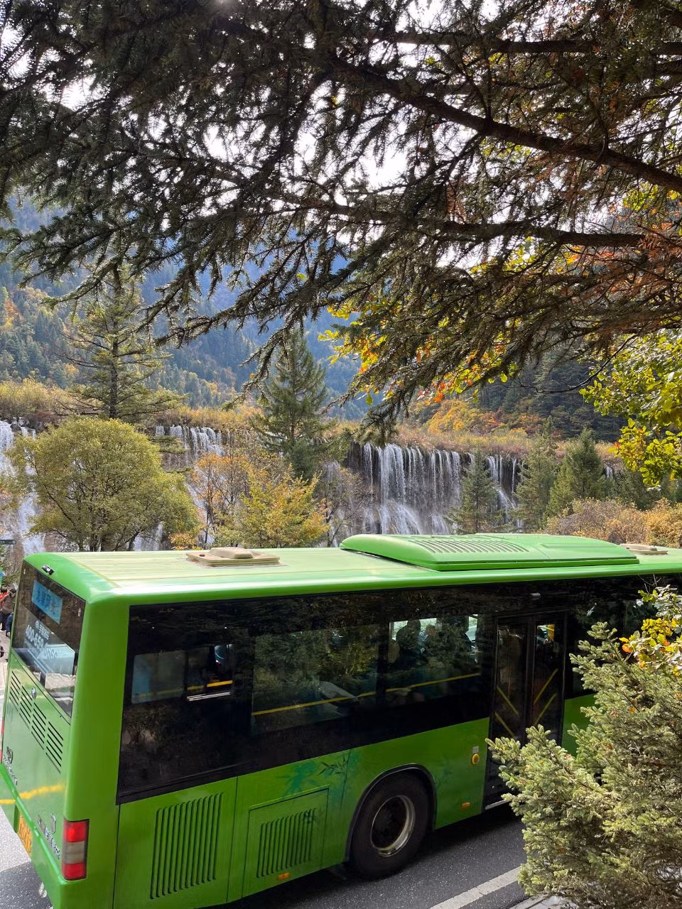 "Shuttle bus" - xe buýt trung chuyển giữa các điểm tham quan.