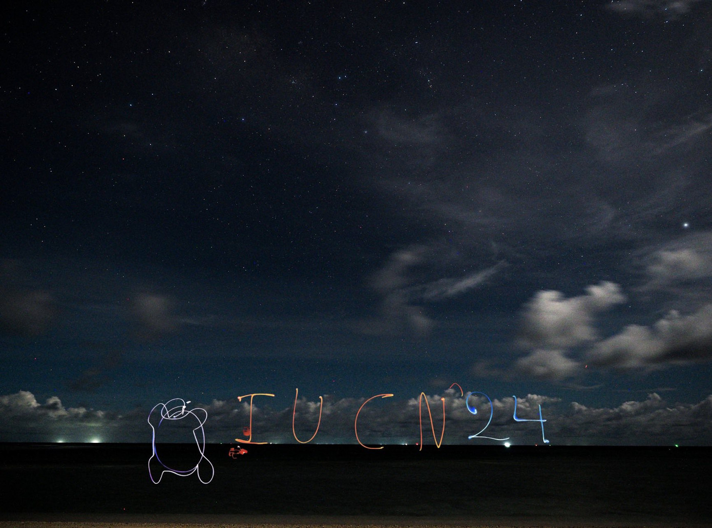 Ảnh: IUCN Vietnam Sea turtle Volunteer.