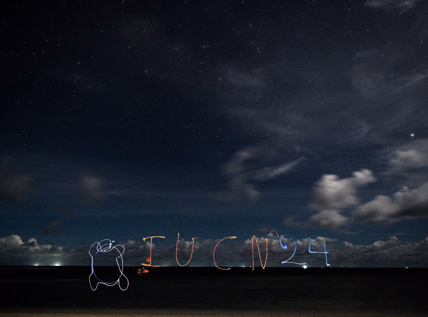 Ảnh: IUCN Vietnam Sea turtle Volunteer.