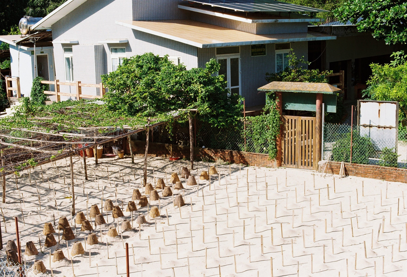 Hồ ấp trứng sau khi trứng được di dời từ bãi đẻ của rùa mẹ. Ảnh: Trần Phúc Minh Duyên